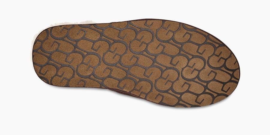 Scuff Sneakers - Premium Brand Shoes for Men and Women