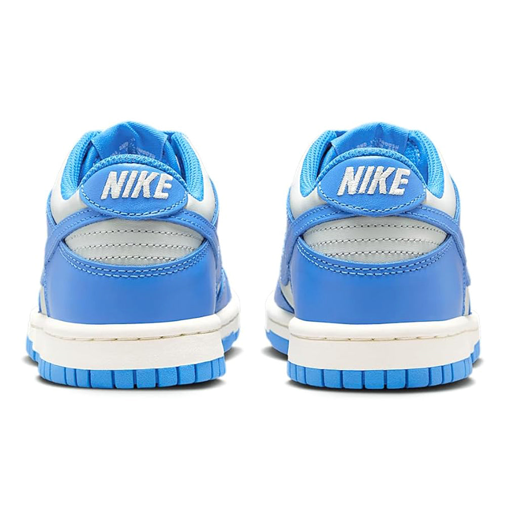 Big Kid's Nike Dunk Low Light Silver/LT Photo Blue (FB9109 004)