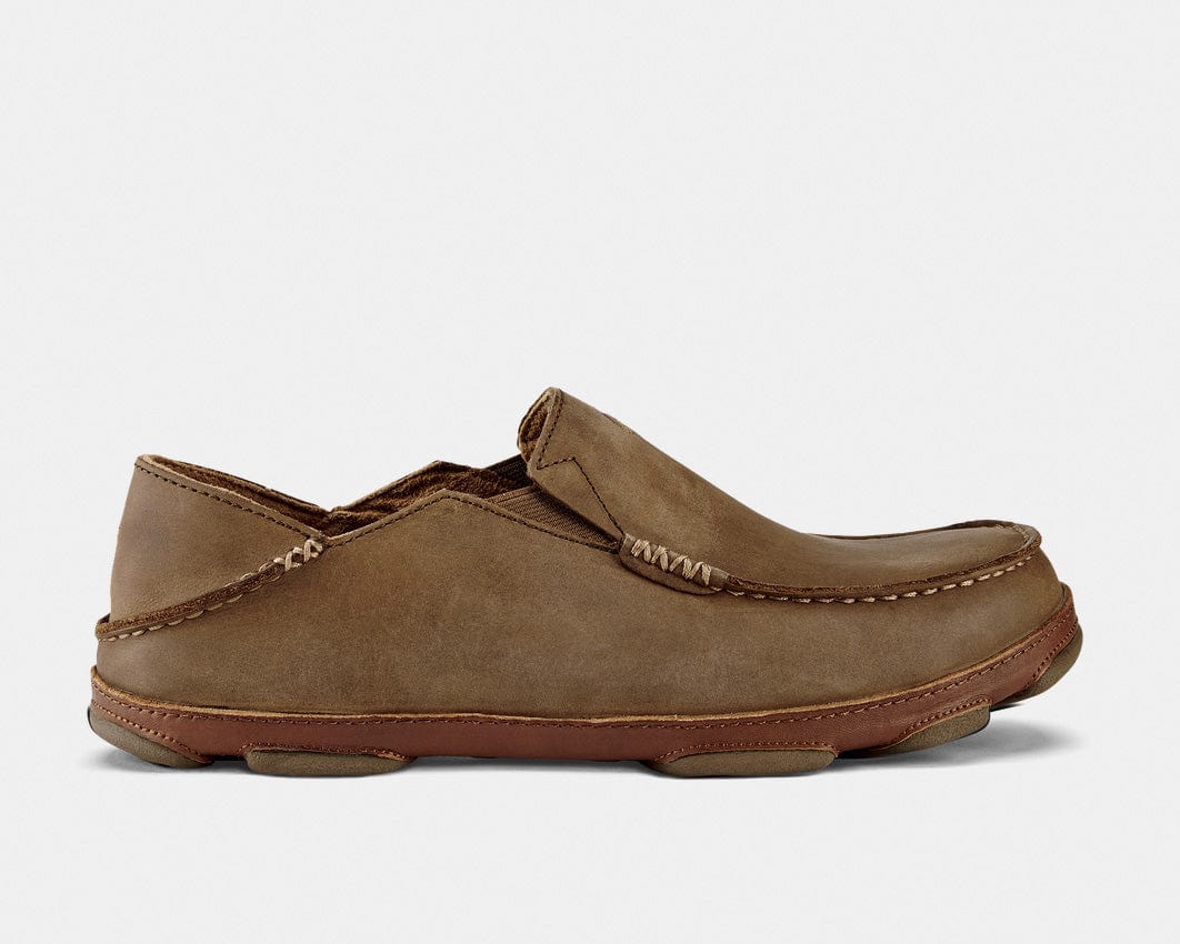 Moloa Sneakers - Premium Brand Shoes for Men and Women