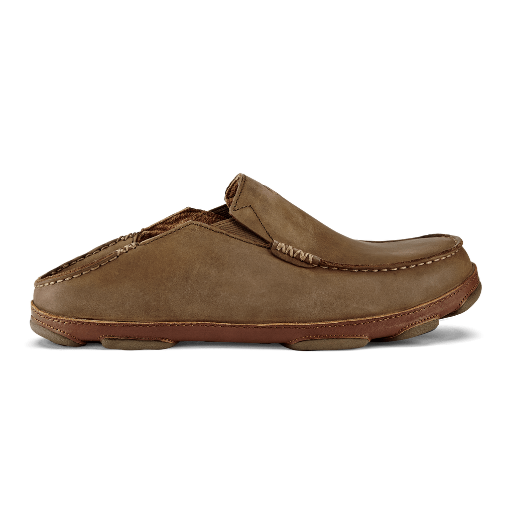 Moloa Sneakers - Premium Brand Shoes for Men and Women