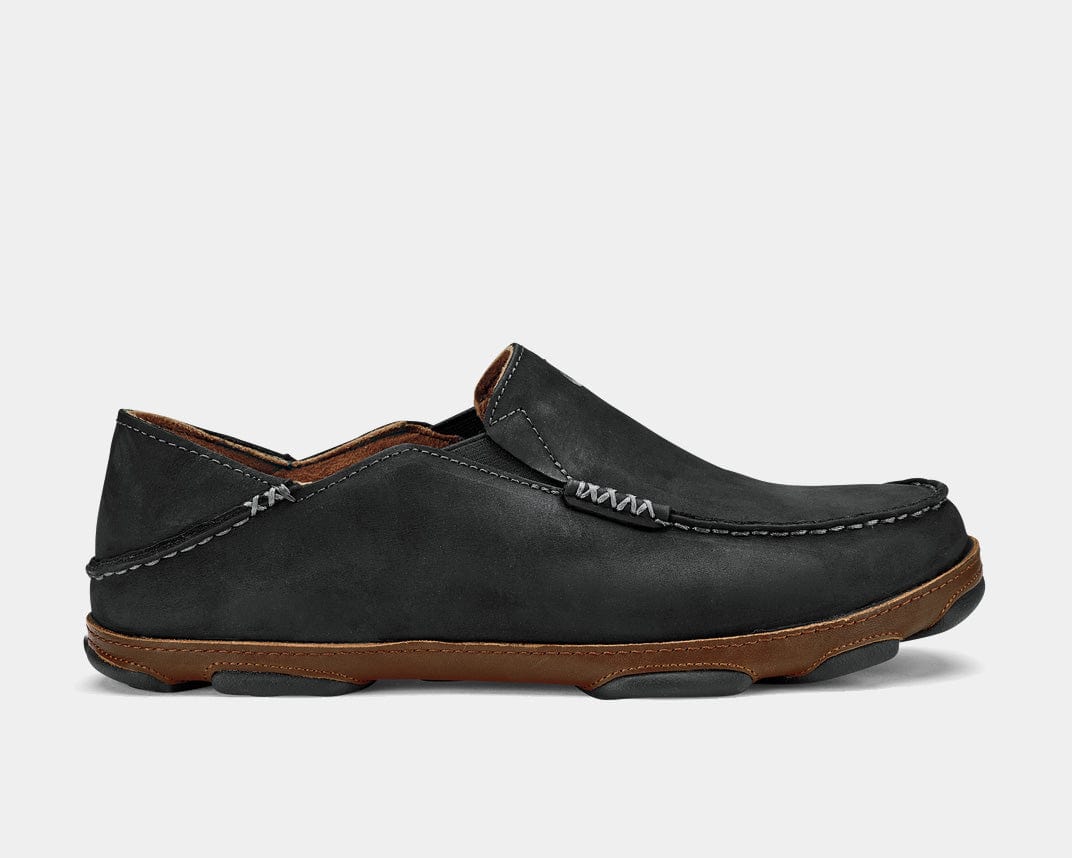 Moloa Sneakers - Premium Brand Shoes for Men and Women