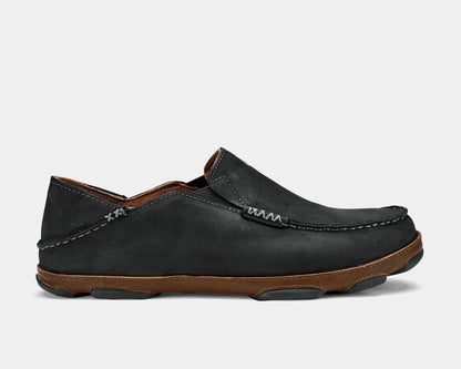 Moloa Sneakers - Premium Brand Shoes for Men and Women