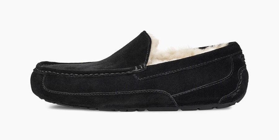 Ascot Suede Sneakers - Premium Brand Shoes for Men and Women