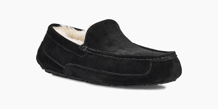 Ascot Suede Sneakers - Premium Brand Shoes for Men and Women
