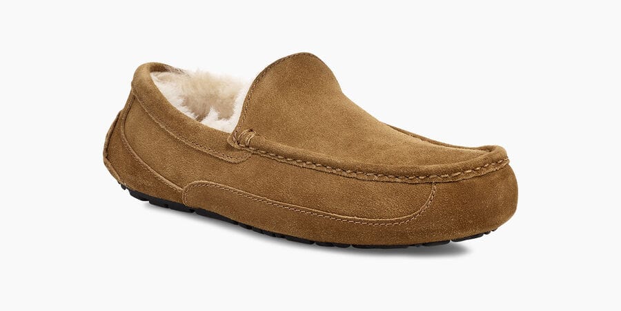 Ascot Suede Sneakers - Premium Brand Shoes for Men and Women