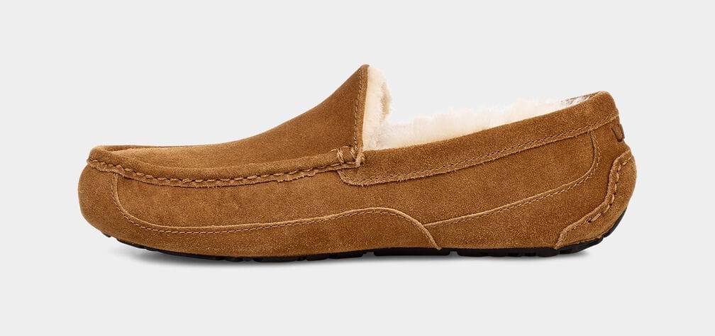 Ascot Suede Sneakers - Premium Brand Shoes for Men and Women