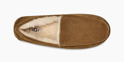 Ascot Suede Sneakers - Premium Brand Shoes for Men and Women