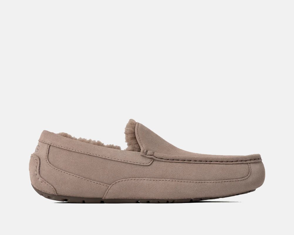 Ascot Suede Sneakers - Premium Brand Shoes for Men and Women