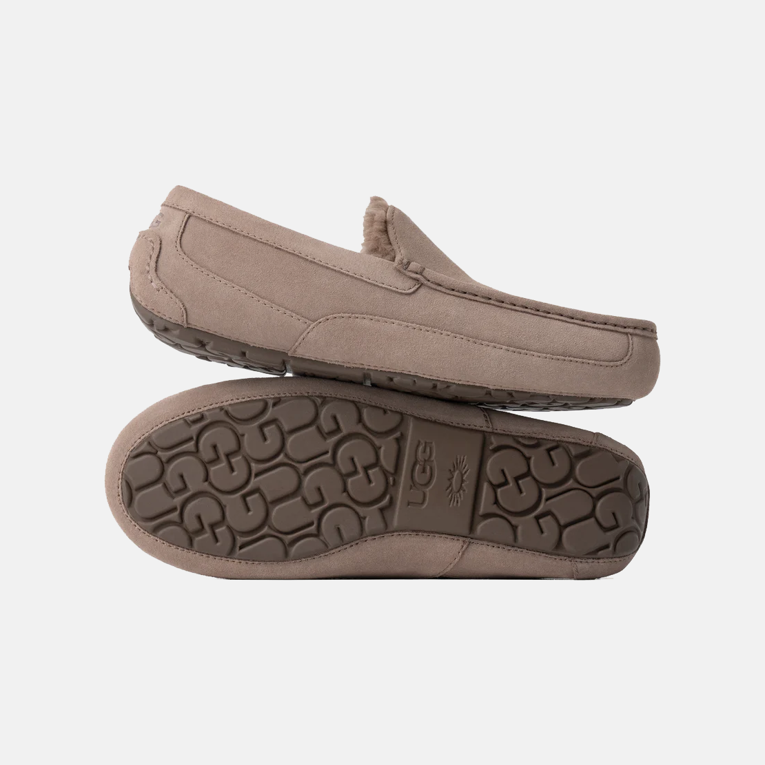 Ascot Suede Sneakers - Premium Brand Shoes for Men and Women