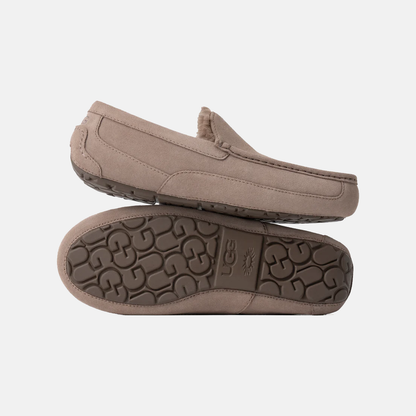 Ascot Suede Sneakers - Premium Brand Shoes for Men and Women