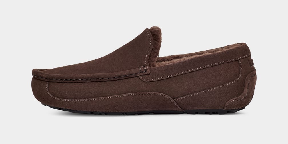 Ascot Suede Sneakers - Premium Brand Shoes for Men and Women