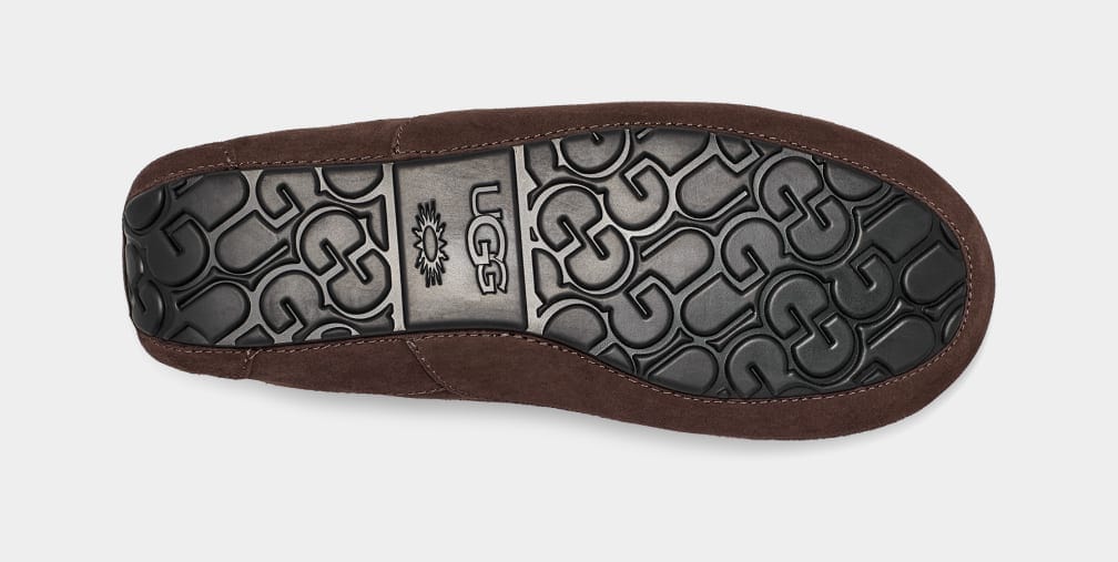 Ascot Suede Sneakers - Premium Brand Shoes for Men and Women
