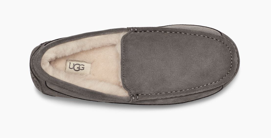 Ascot Suede Sneakers - Premium Brand Shoes for Men and Women