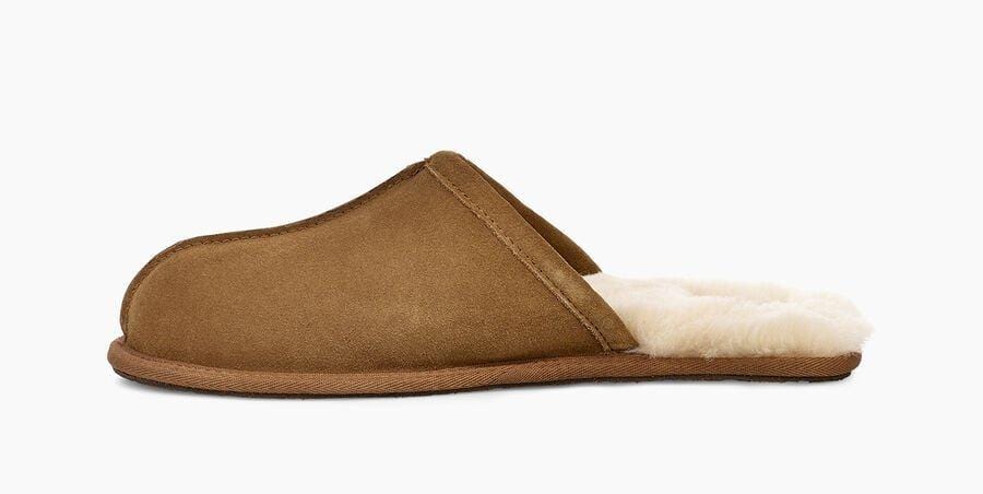 Scuff Sneakers - Premium Brand Shoes for Men and Women