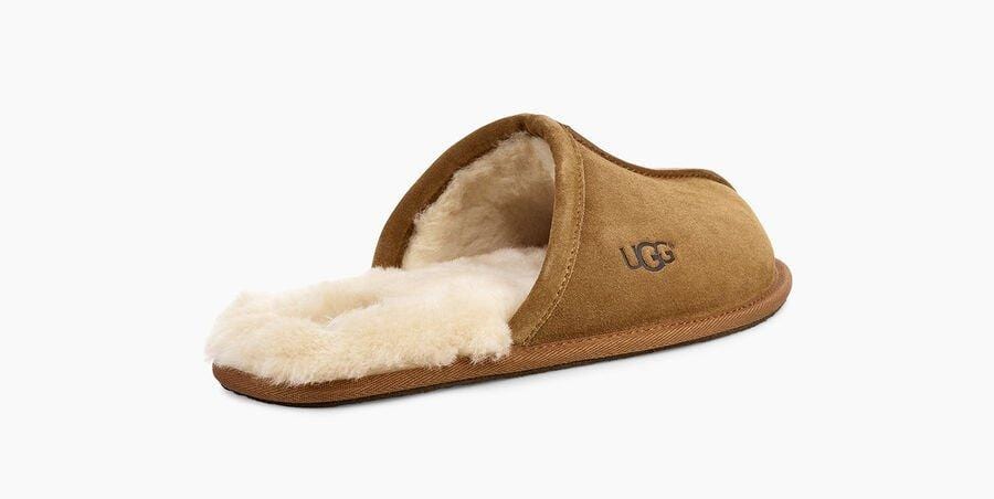 Scuff Sneakers - Premium Brand Shoes for Men and Women