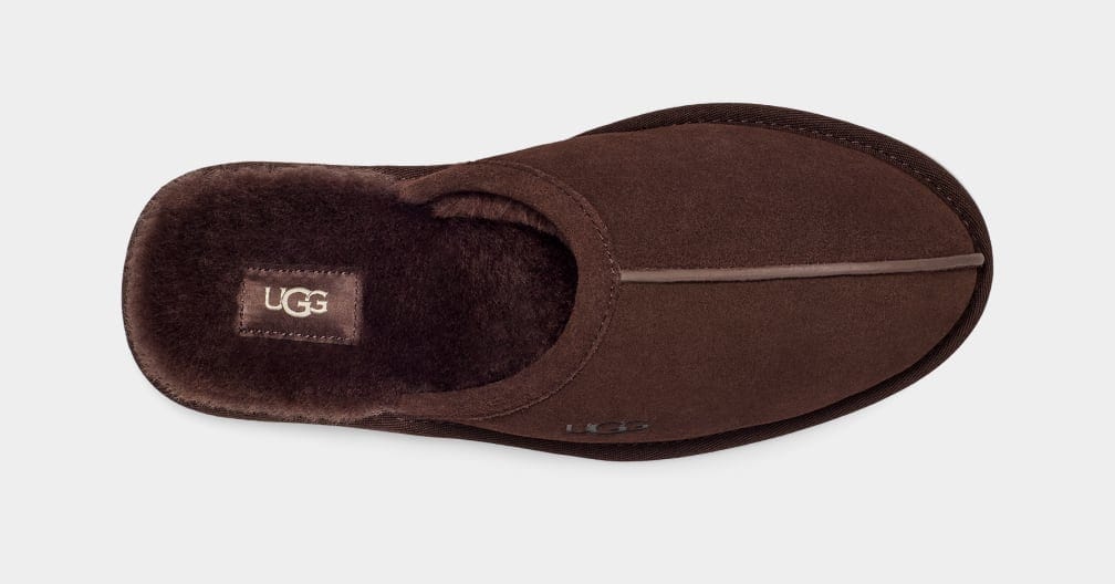 Scuff Sneakers - Premium Brand Shoes for Men and Women