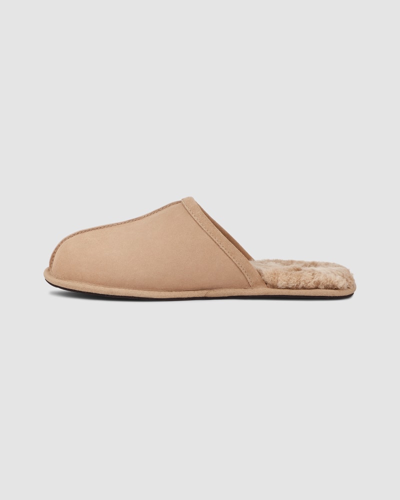 Scuff Sneakers - Premium Brand Shoes for Men and Women