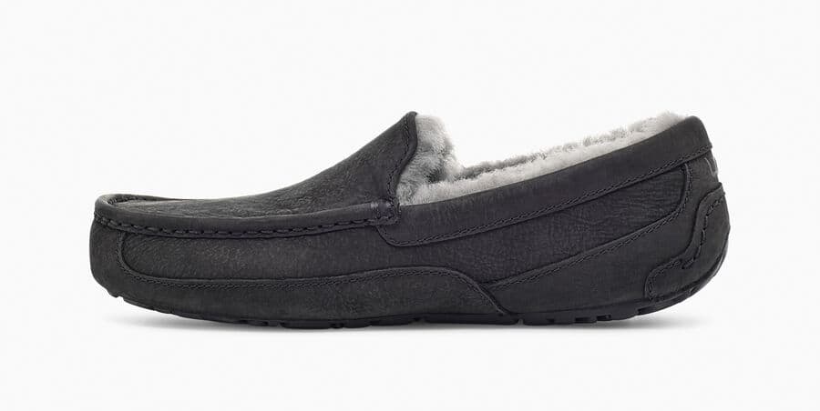 Ascot Matte Leather Sneakers - Premium Brand Shoes for Men and Women