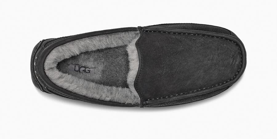 Ascot Matte Leather Sneakers - Premium Brand Shoes for Men and Women