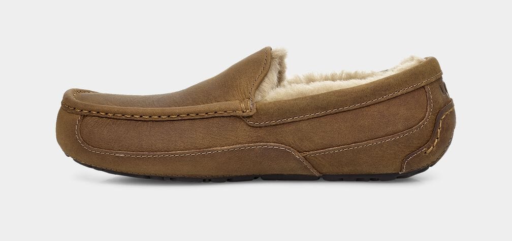 Ascot Matte Leather Sneakers - Premium Brand Shoes for Men and Women