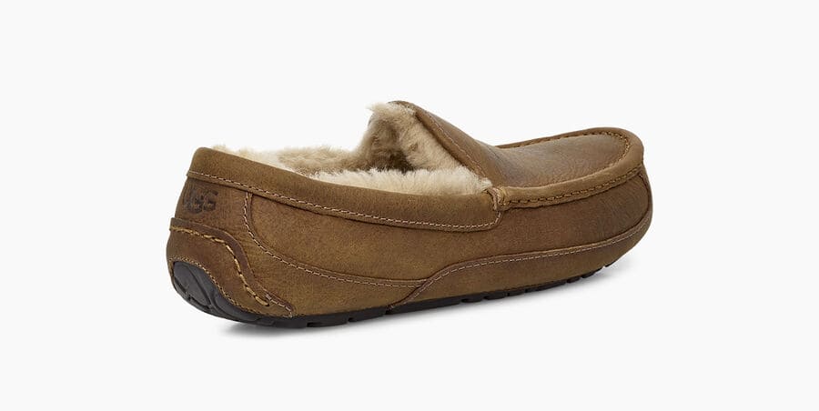 Ascot Matte Leather Sneakers - Premium Brand Shoes for Men and Women