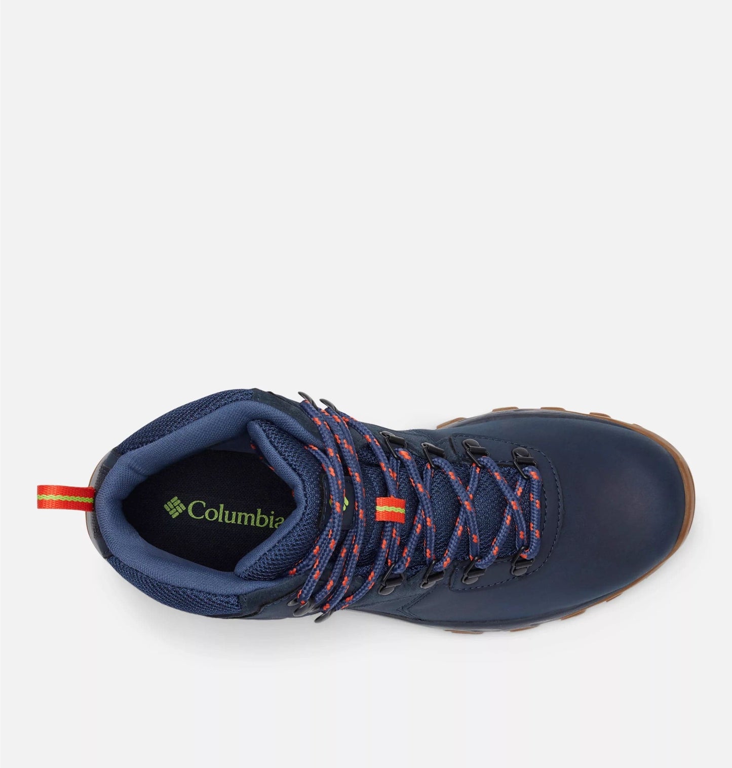 Newton Ridge Plus II Waterproof Sneakers - Premium Brand Shoes for Men and Women