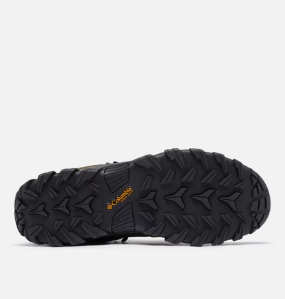 Newton Ridge Plus II Suede WP Sneakers - Premium Brand Shoes for Men and Women