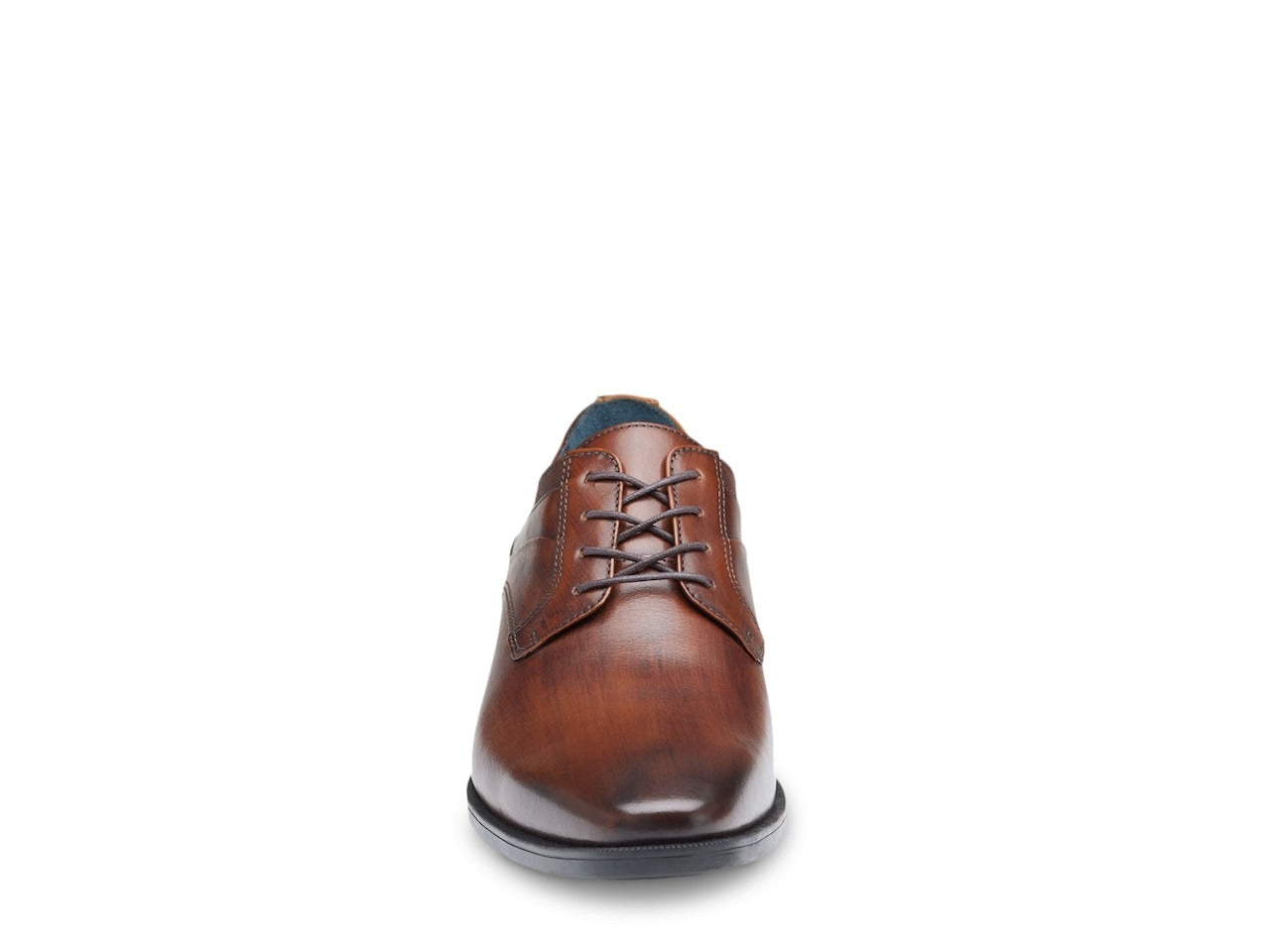 Gibbons Plain Toe Sneakers - Premium Brand Shoes for Men and Women