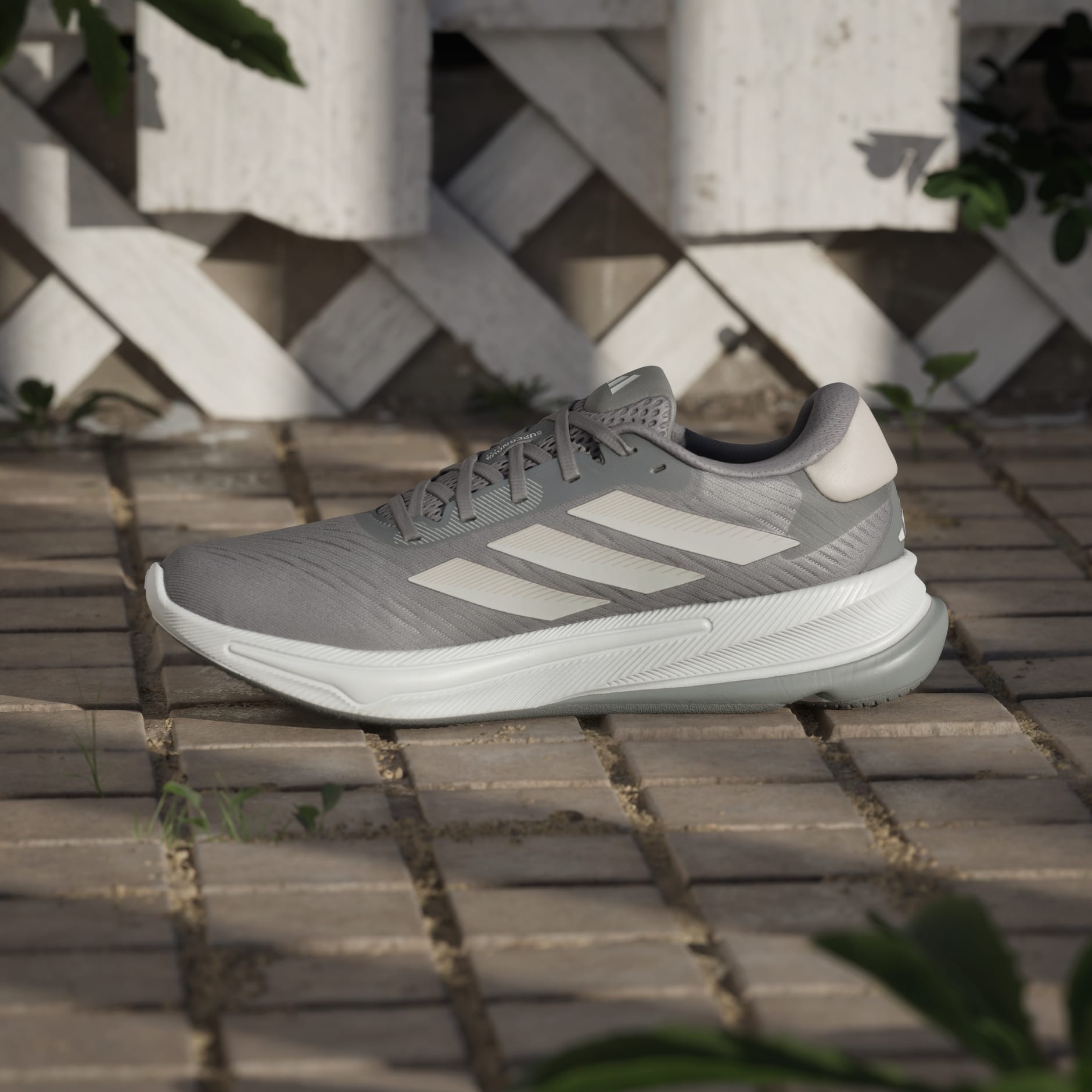 Supernova Ease Sneakers - Premium Brand Shoes for Men and Women