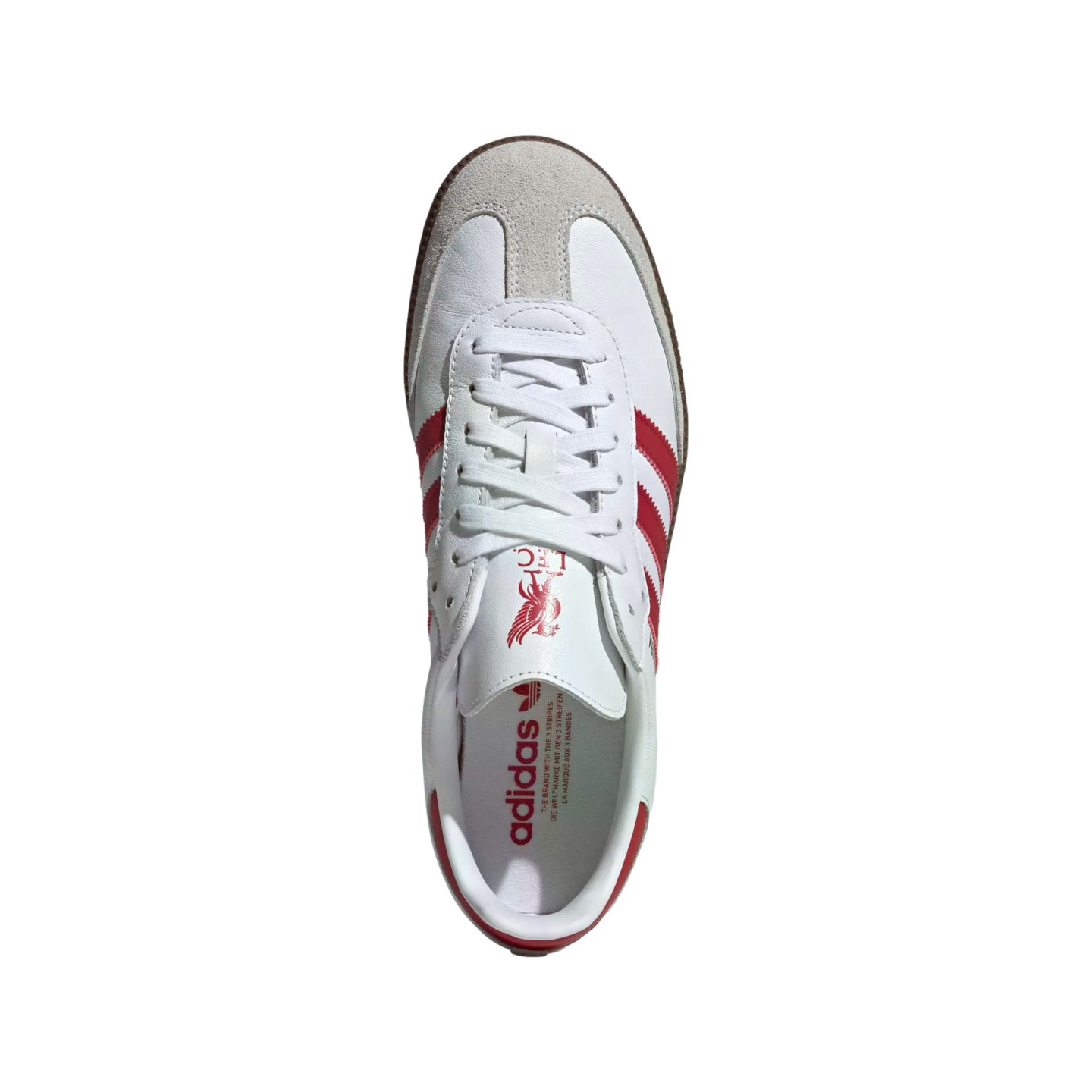 Adidas Samba Liverpool Indoor Shoes