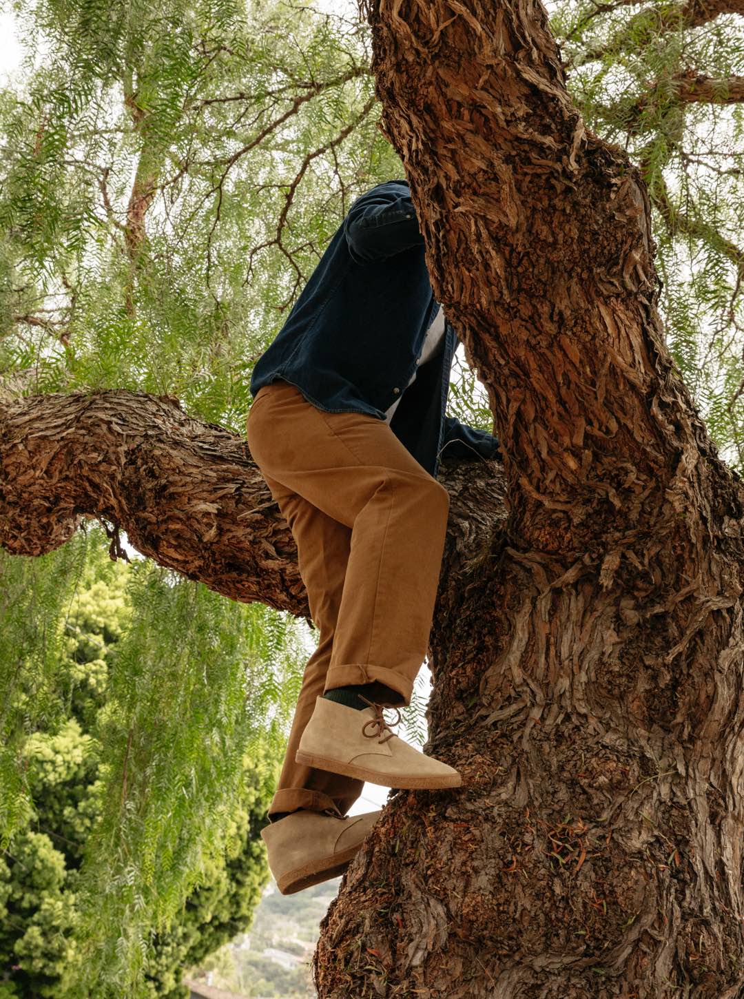 Sun-tans Chukka Sneakers - Premium Brand Shoes for Men and Women