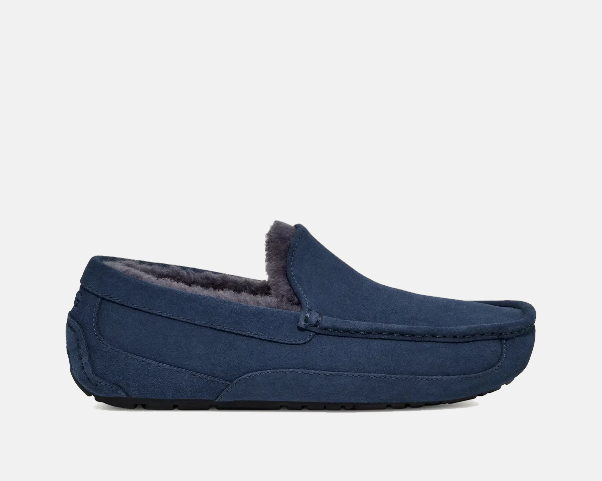 Ascot Suede Sneakers - Premium Brand Shoes for Men and Women
