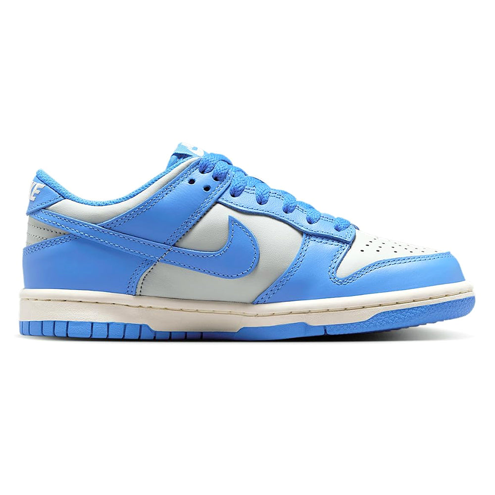 Big Kid's Nike Dunk Low Light Silver/LT Photo Blue (FB9109 004)